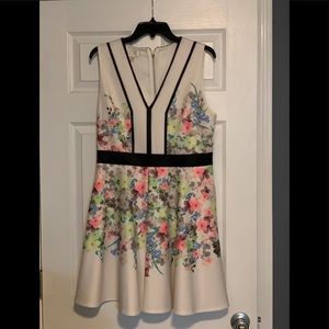 Ted Baker London Fit and Flare dress.